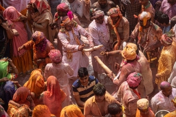 Indien_2025 &raquo; Holi-Fest 2025