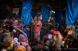 Indien_2025 &raquo; Holi-Fest 2025