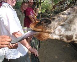 2005 Tansania - Kenia &raquo; Kenia