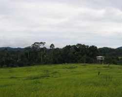 2004 Thailand » Khao_Yai_Nationalpark