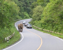 2004 Thailand &raquo; Khao_Yai_Nationalpark