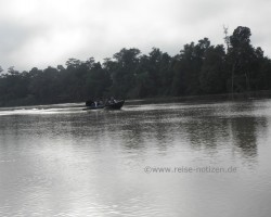 2012 Borneo - Brunei &raquo; Kinabatangan River