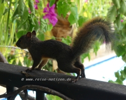 2015 USA Mittelmerkika Karibik &raquo; 2015 Kolumbien: Santa Fe de Antioquia