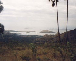 2000 Indonesien &raquo; Komodo