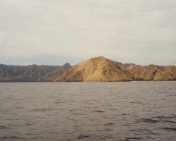 2000 Indonesien &raquo; Komodo