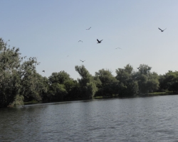 2014 Deutschland, Österreich, Italien, Slowenien, Kroatien, Serbien, Rumänien, Ungarn &raquo; Kroatien