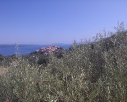 2014 Deutschland, Österreich, Italien, Slowenien, Kroatien, Serbien, Rumänien, Ungarn &raquo; Kroatien