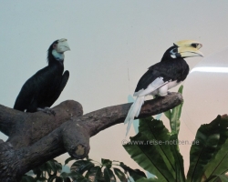 Kuala Lumpur - Vogelpark