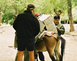  2003 Indien - Sri Lanka &raquo; Ladakh_Treck
