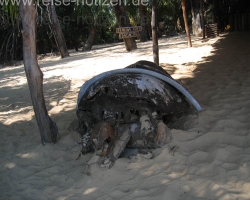 2008 Brasilien &raquo; Lencois_Maranhenses