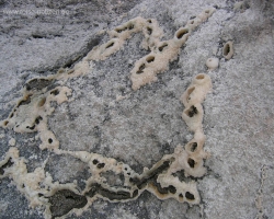 2005 Tansania - Kenia &raquo; Lengai