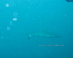 2012 Borneo - Brunei &raquo; Mabul - Sipadan Island