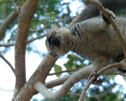 2016 - Kenia - Madagaskar &raquo; Einbaum Tour &raquo; Madagaskar_Kanu-Tour