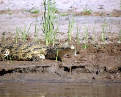 2016 - Kenia - Madagaskar &raquo; Einbaum Tour &raquo; Madagaskar_Kanu-Tour