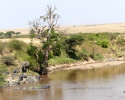 2016 - Kenia - Madagaskar &raquo; Masai Mara &raquo; Masai_Mara