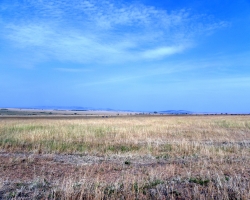2016 - Kenia - Madagaskar &raquo; Masai Mara &raquo; Masai_Mara