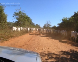 2008 Brasilien &raquo; Misc