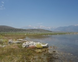 2017 Südwest USA &raquo; Mono Lake
