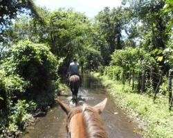 2013 Nicaragua - Honduras - Guatemala &raquo; 2013 Nicaragua