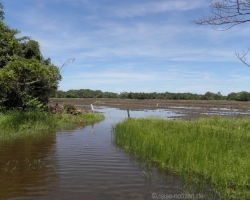 2013 Nicaragua - Honduras - Guatemala &raquo; 2013 Nicaragua