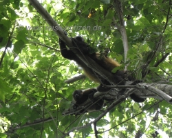 2009 Costa Rica - Nicaragua &raquo; Ometepe