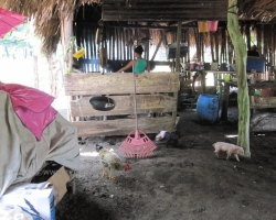 2010 New York - Panama - Costa Rica - Nicaragua &raquo; Padre_Ramos-Sea_Turtles