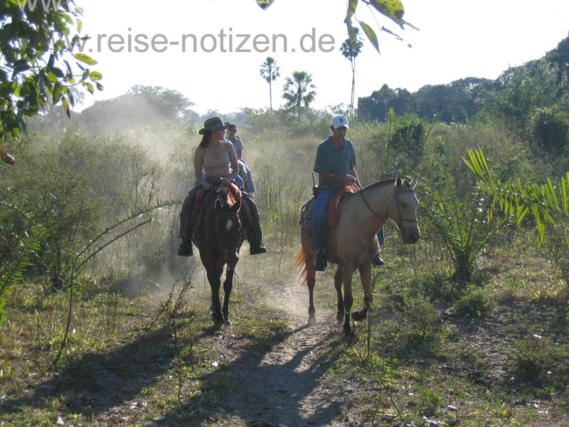 Ausritt im Pantanal