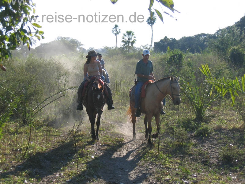 Ritt im Panatanal - Bild von Reise-Notizen.de