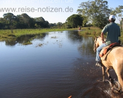 2008 Brasilien &raquo; Pantanal