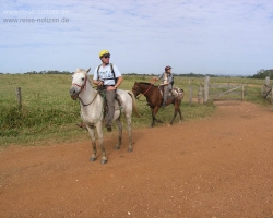 2008 Brasilien &raquo; Pantanal