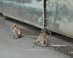 2018 Dubai, Vietnam, Kambodia, Thailand &raquo; Phnom Penh