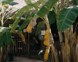 2002 Mexiko - Guatemala - Belize &raquo; Playa_del_Carmen