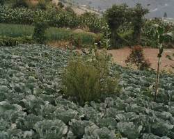 2002 Mexiko - Guatemala - Belize &raquo; Quetzal_Santa_Maria