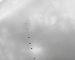 2009 Costa Rica - Nicaragua &raquo; Redwood_Beach_Resort