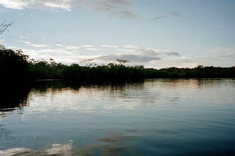 Lagune mit Delfinen - Bild von Reise-Notizen.de