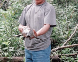 2001 Peru - Ecuador - Galapagos &raquo; Rio_Napo