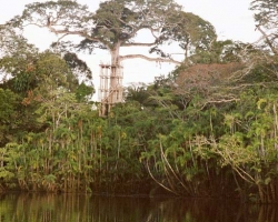 2001 Peru - Ecuador - Galapagos &raquo; Rio_Napo