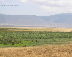 2005 Tansania - Kenia &raquo; Safaris