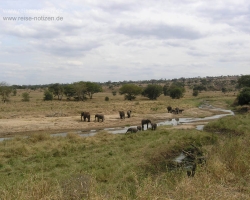 2005 Tansania - Kenia &raquo; Safaris