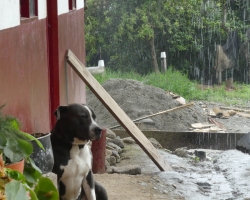 2015 USA Mittelmerkika Karibik &raquo; 2015 Kolumbien: Salento