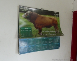 2015 USA Mittelmerkika Karibik &raquo; 2015 Kolumbien: Salento