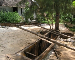 2005 Tansania - Kenia &raquo; Sansibar