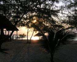 2005 Tansania - Kenia &raquo; Sansibar