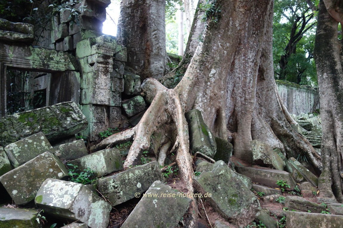 Ta Prohm – ein dem Buddhismus geweihter Komplex