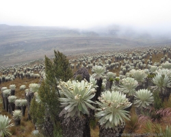 2015 USA Mittelmerkika Karibik &raquo; 2015 Kolumbien: Sogamoso 