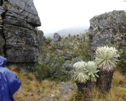2015 USA Mittelmerkika Karibik &raquo; 2015 Kolumbien: Sogamoso 