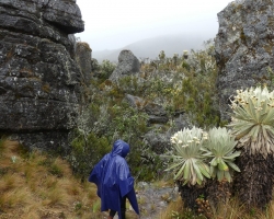 2015 USA Mittelmerkika Karibik &raquo; 2015 Kolumbien: Sogamoso 