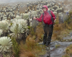 Wanderung im Paramo