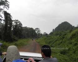 2012 Borneo - Brunei &raquo; Tabin Wildlife Reserve