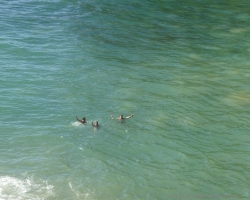 2015 USA Mittelmerkika Karibik &raquo; 2015 Trinidad Tobago